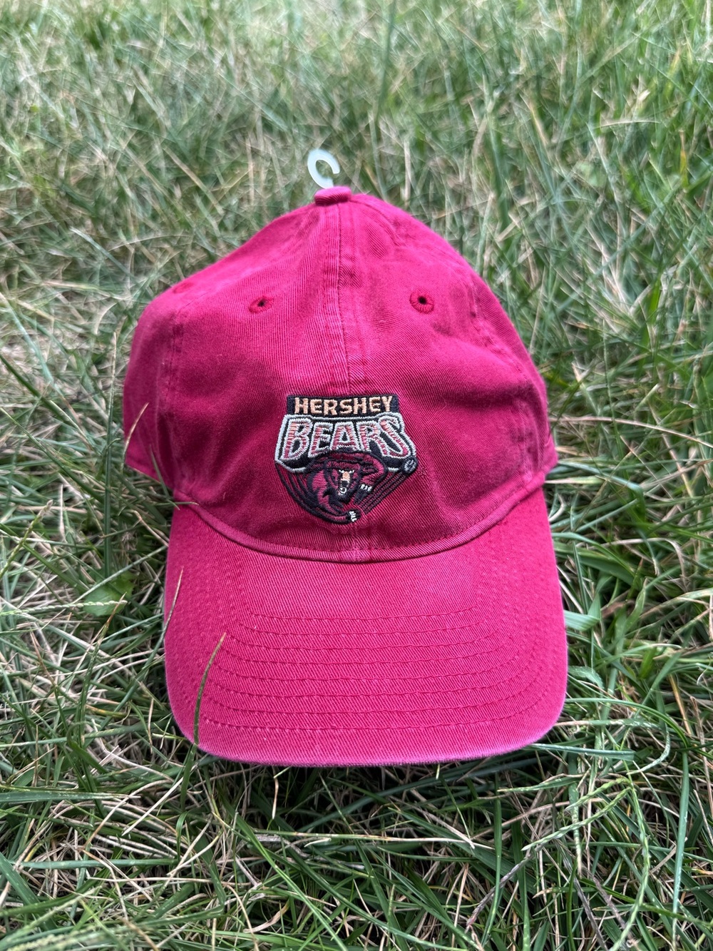 Vintage Hershey Bears Strapback Hat / Reebok / New